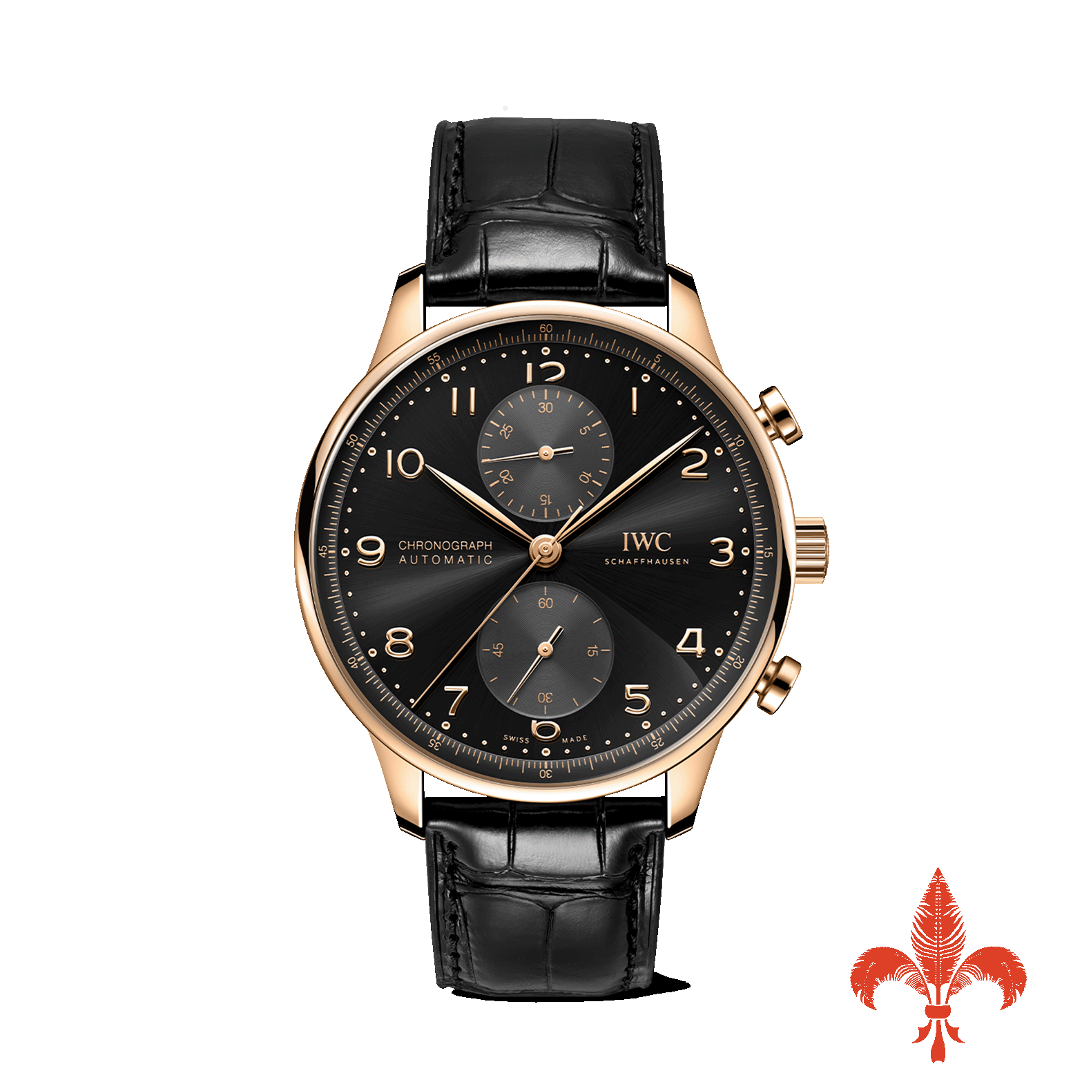 Portugieser Chronograph IW371625