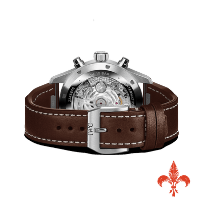Pilot's Watch Chronograph IW378005
