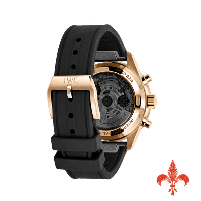 Pilot's Watch Performance Chronograph 41 IW388309