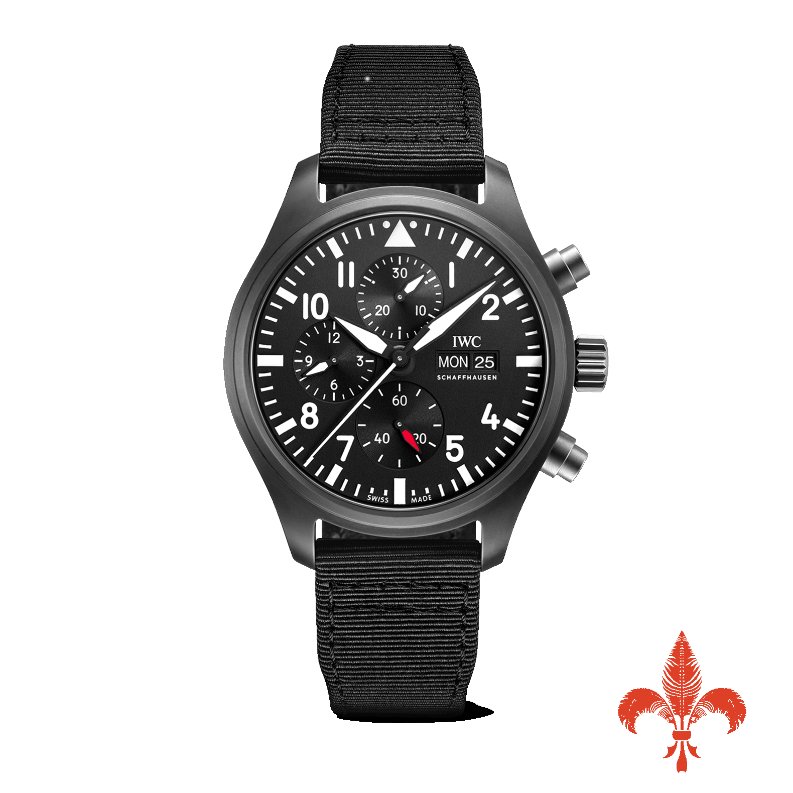 Pilot's Watch Chronograph TOP GUN IW389101