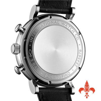 Portofino Chronograph IW391029
