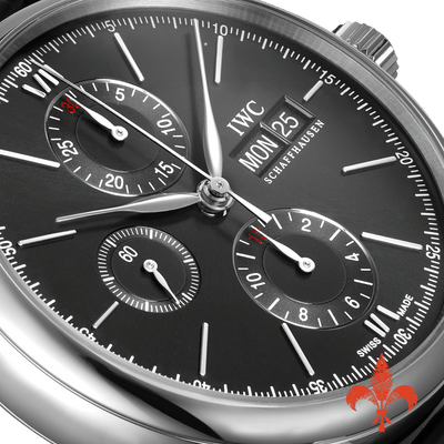 Portofino Chronograph IW391029
