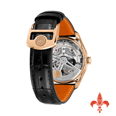 Portugieser Automatic 42 IW501707