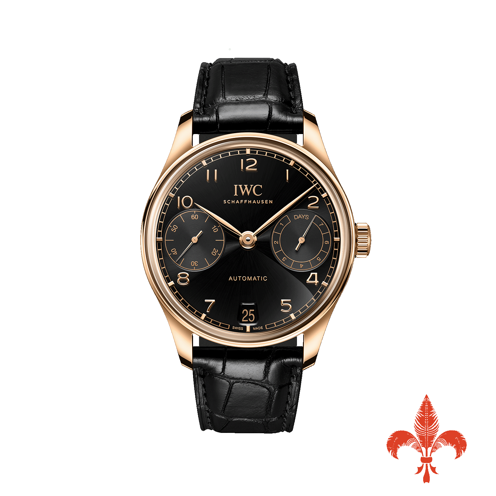 Portugieser Automatic 42 IW501701