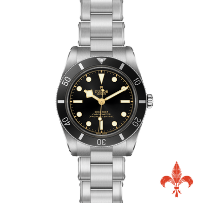 Black Bay 54 M79000N-0001