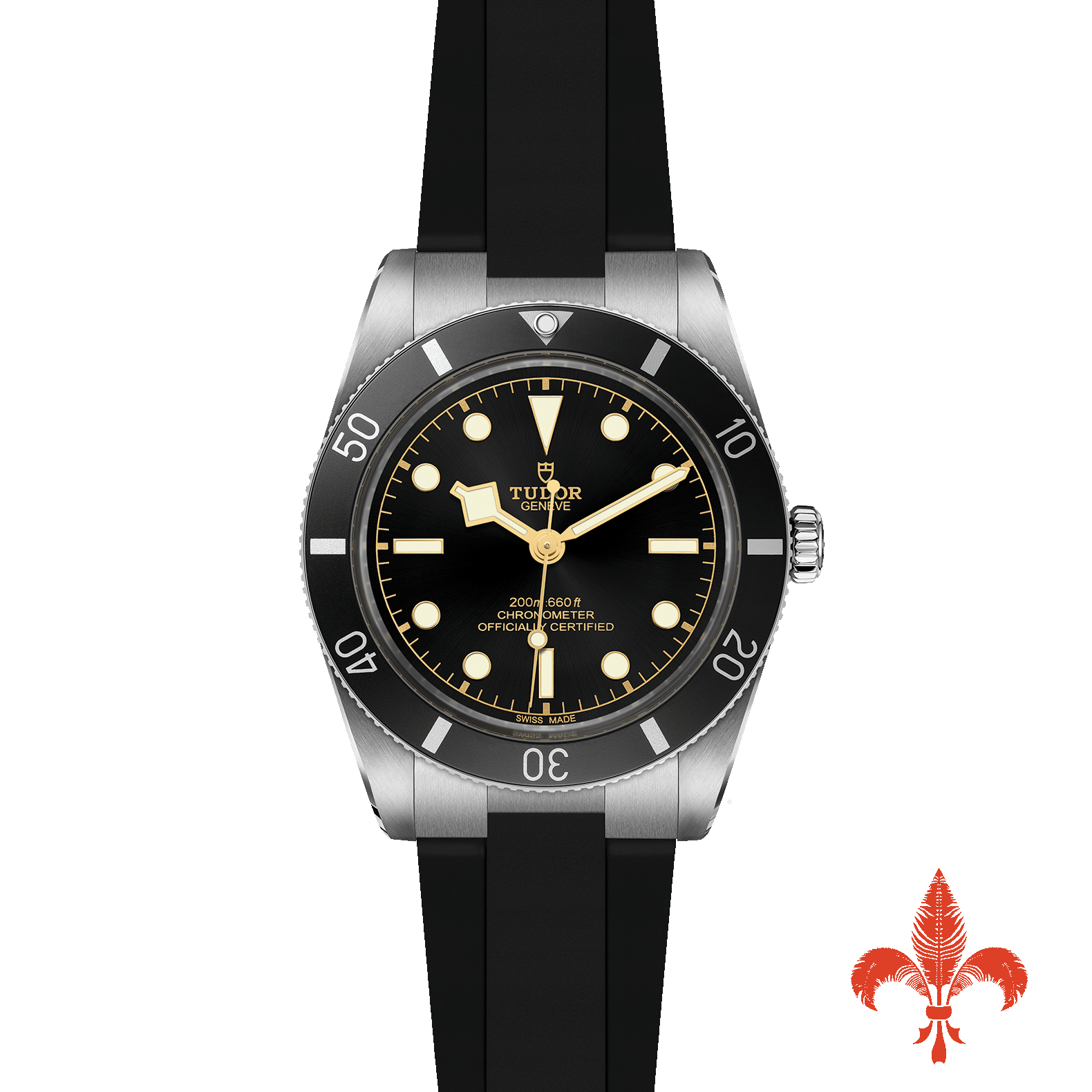 BLACK BAY 54 M79000N-0002