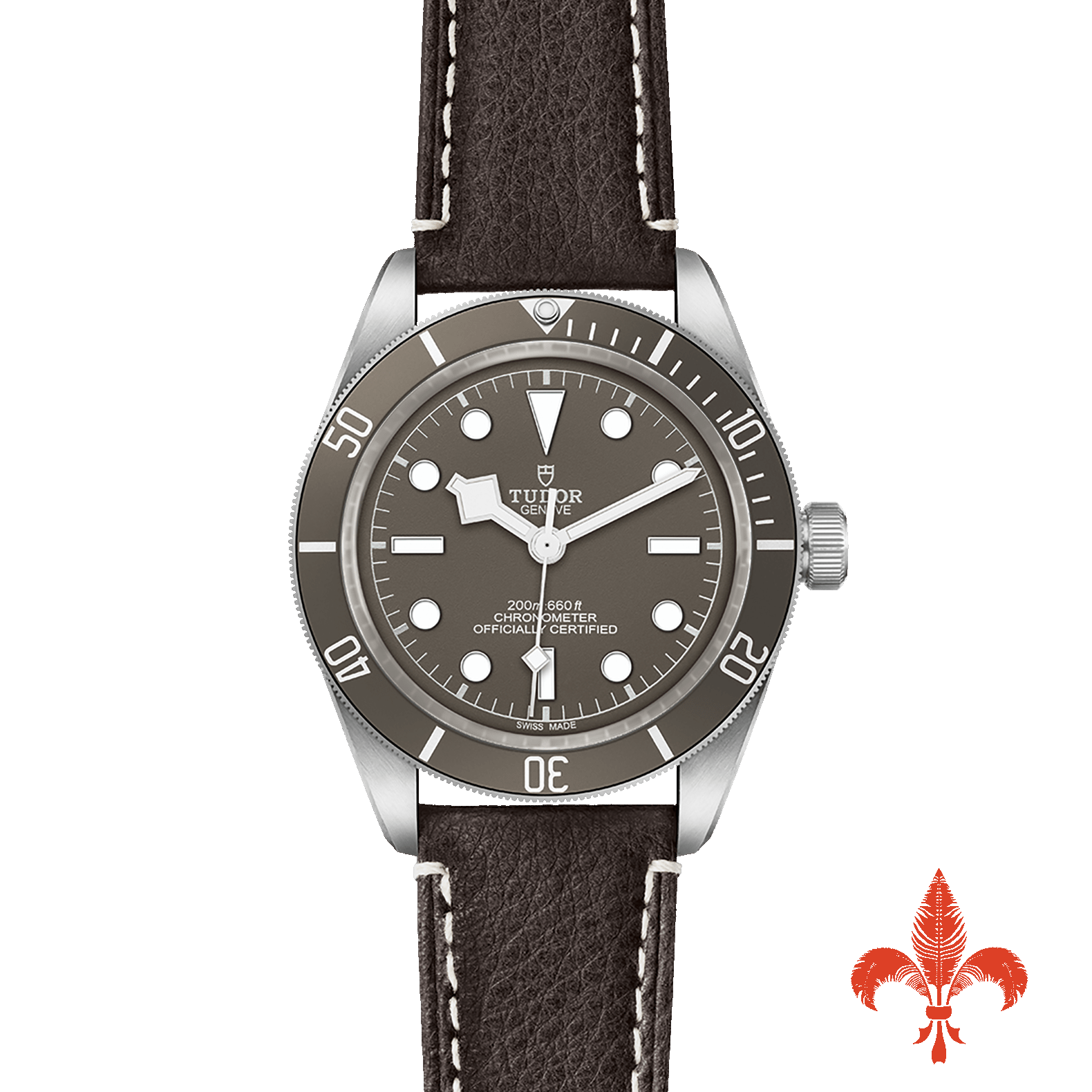 BLACK BAY 58 925 M79010SG‐0001