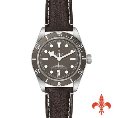 BLACK BAY 58 925 M79010SG‐0001