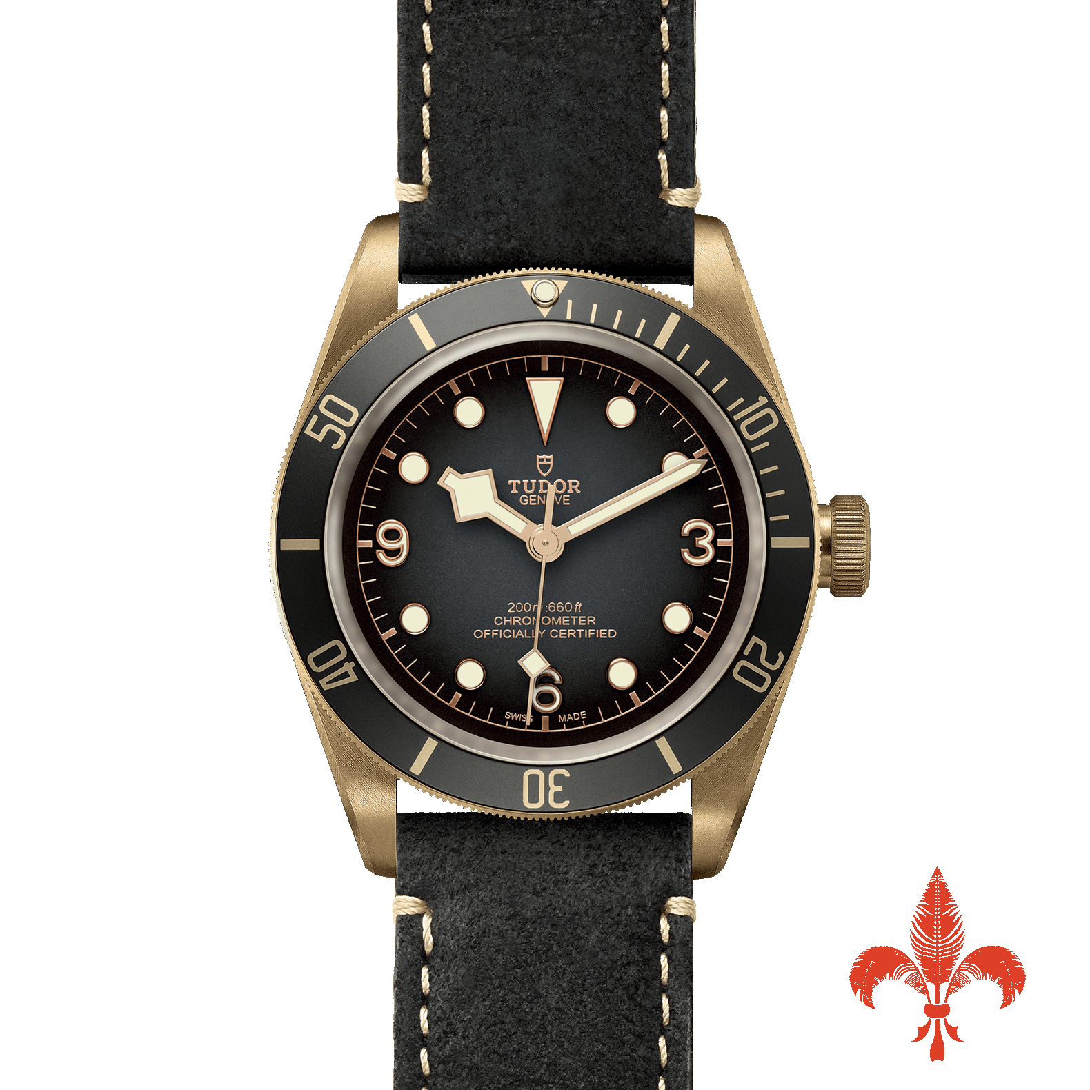 BLACK BAY BRONZE M79250BA-0001