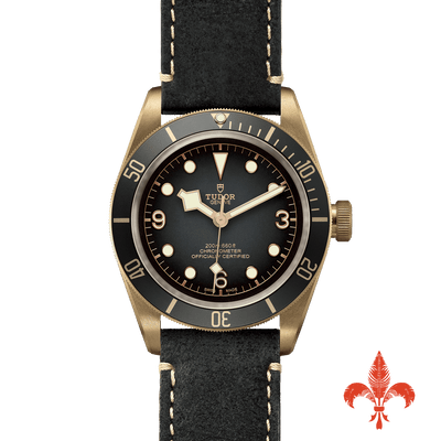 BLACK BAY BRONZE M79250BA-0001