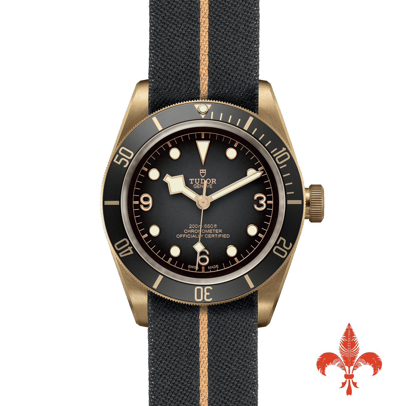 BLACK BAY BRONZE M79250BA-0002