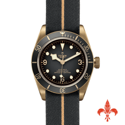 BLACK BAY BRONZE M79250BA-0002
