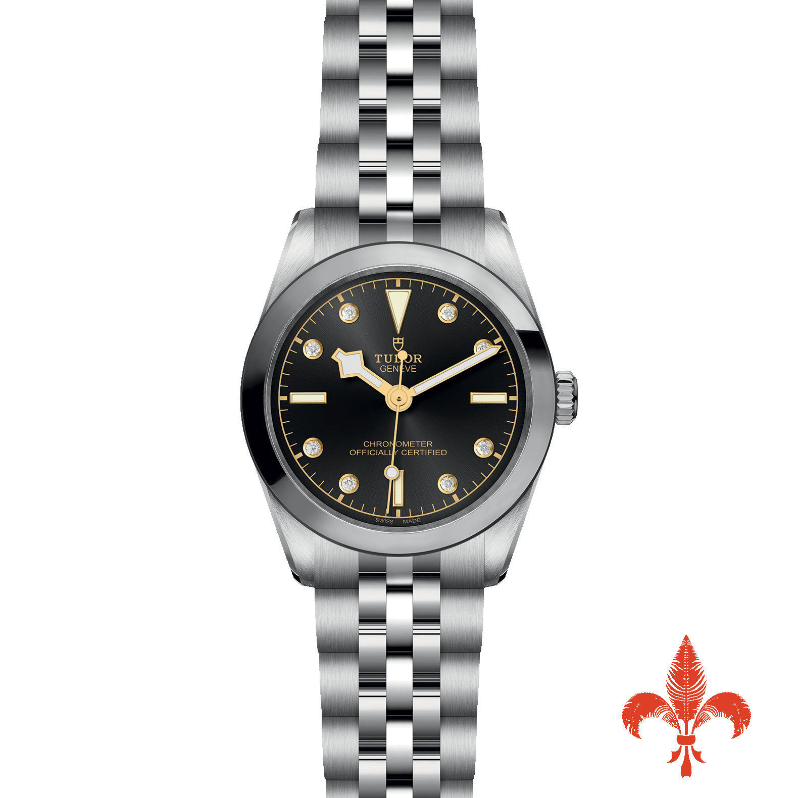 BLACK BAY 31 M79600-0004