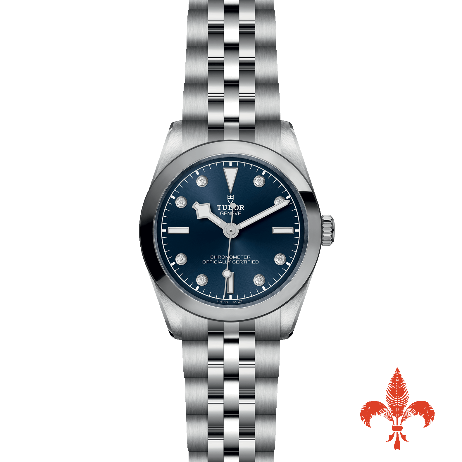 BLACK BAY 31 M79600-0005