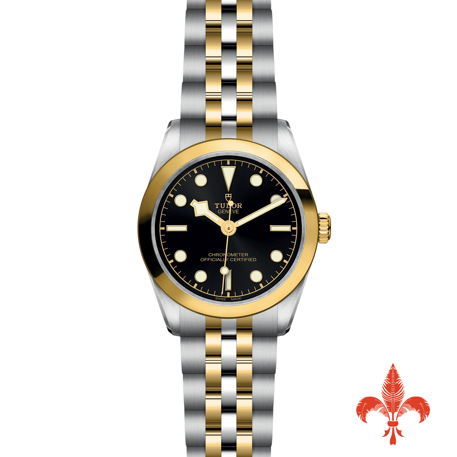 BLACK BAY ONE 31 S&G M79603-0001