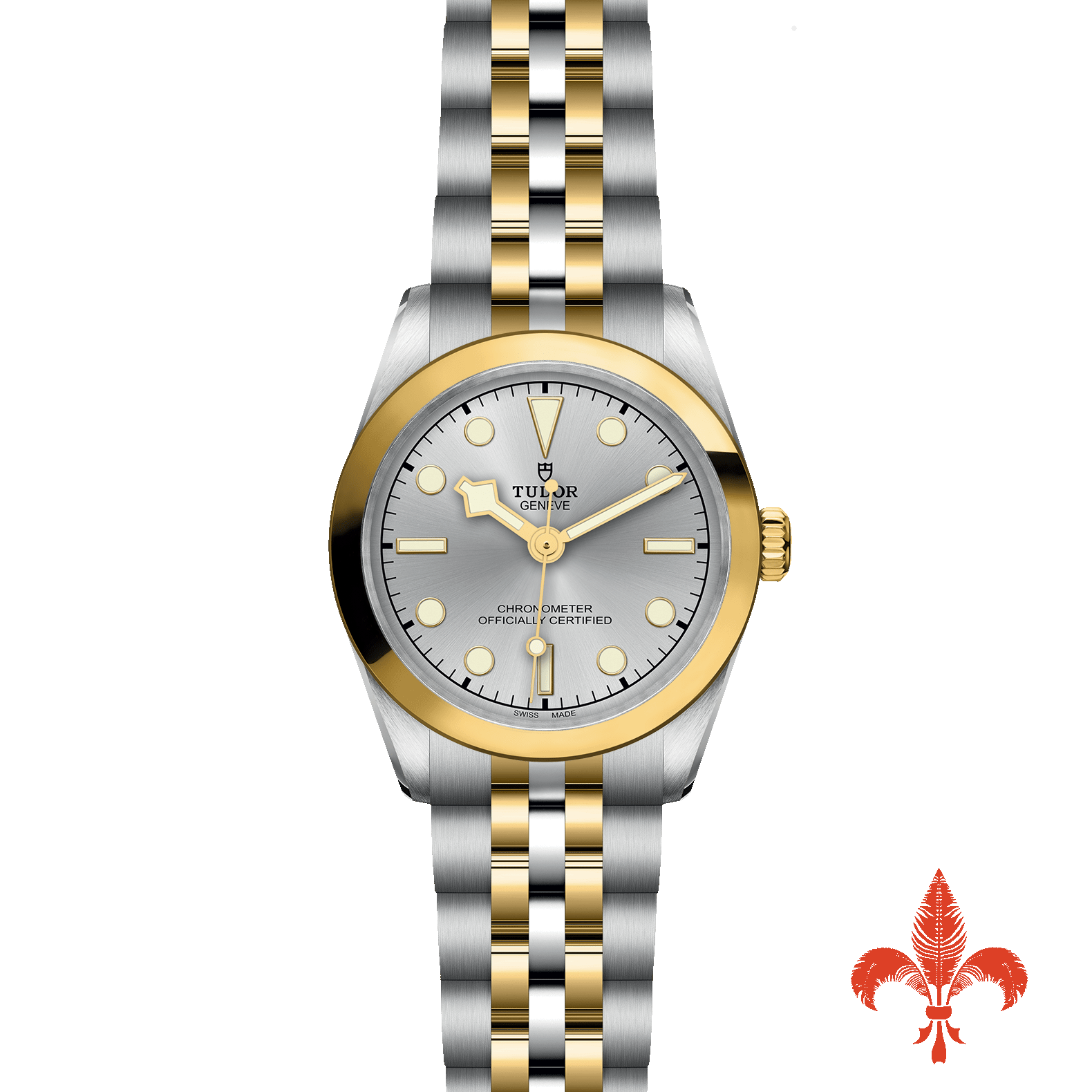 BLACK BAY ONE 31 S&G M79603-0002