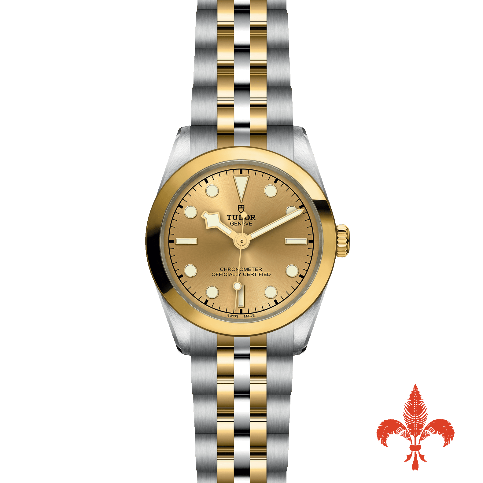 BLACK BAY ONE 31 S&G M79603-0005