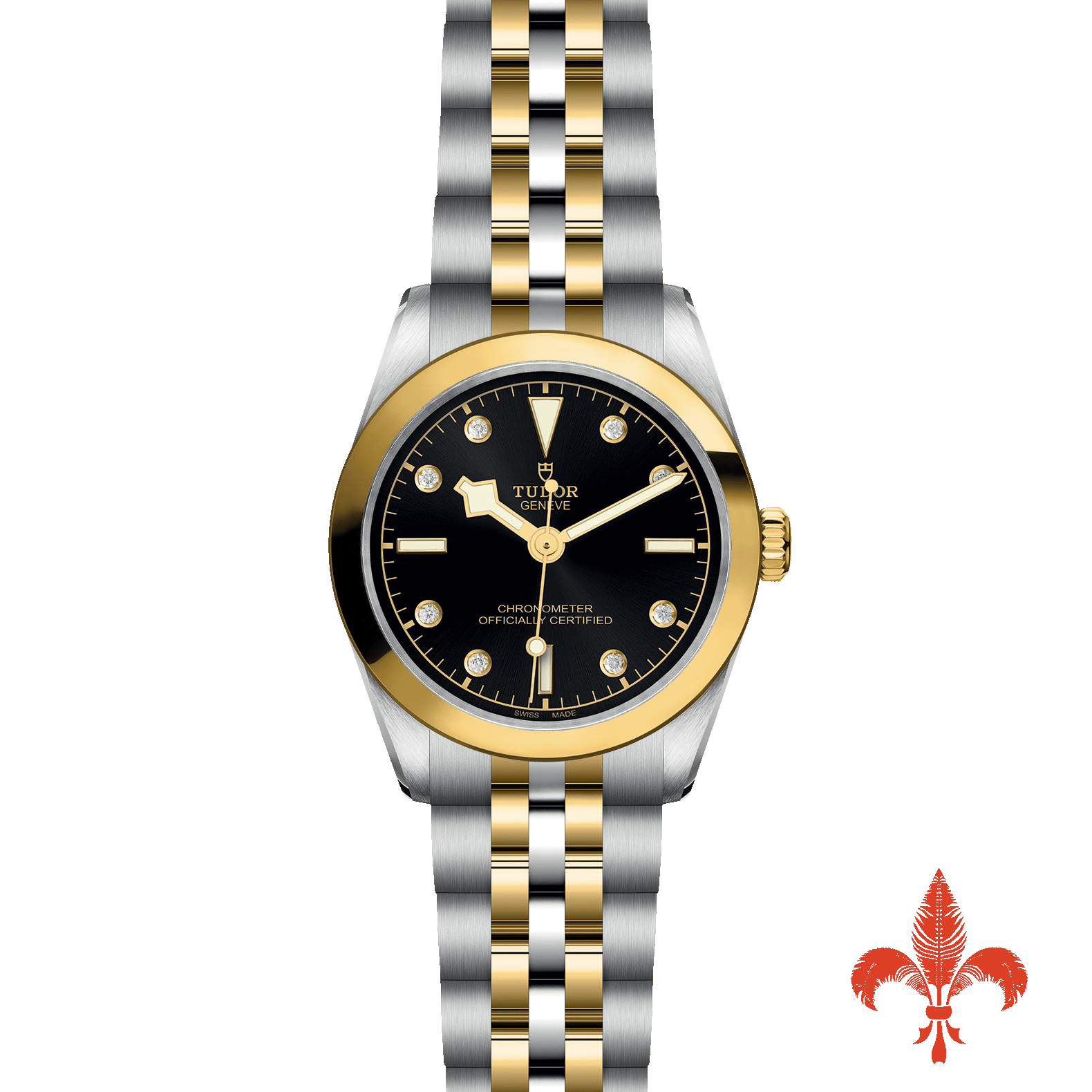 BLACK BAY ONE 31 S&G M79603-0006