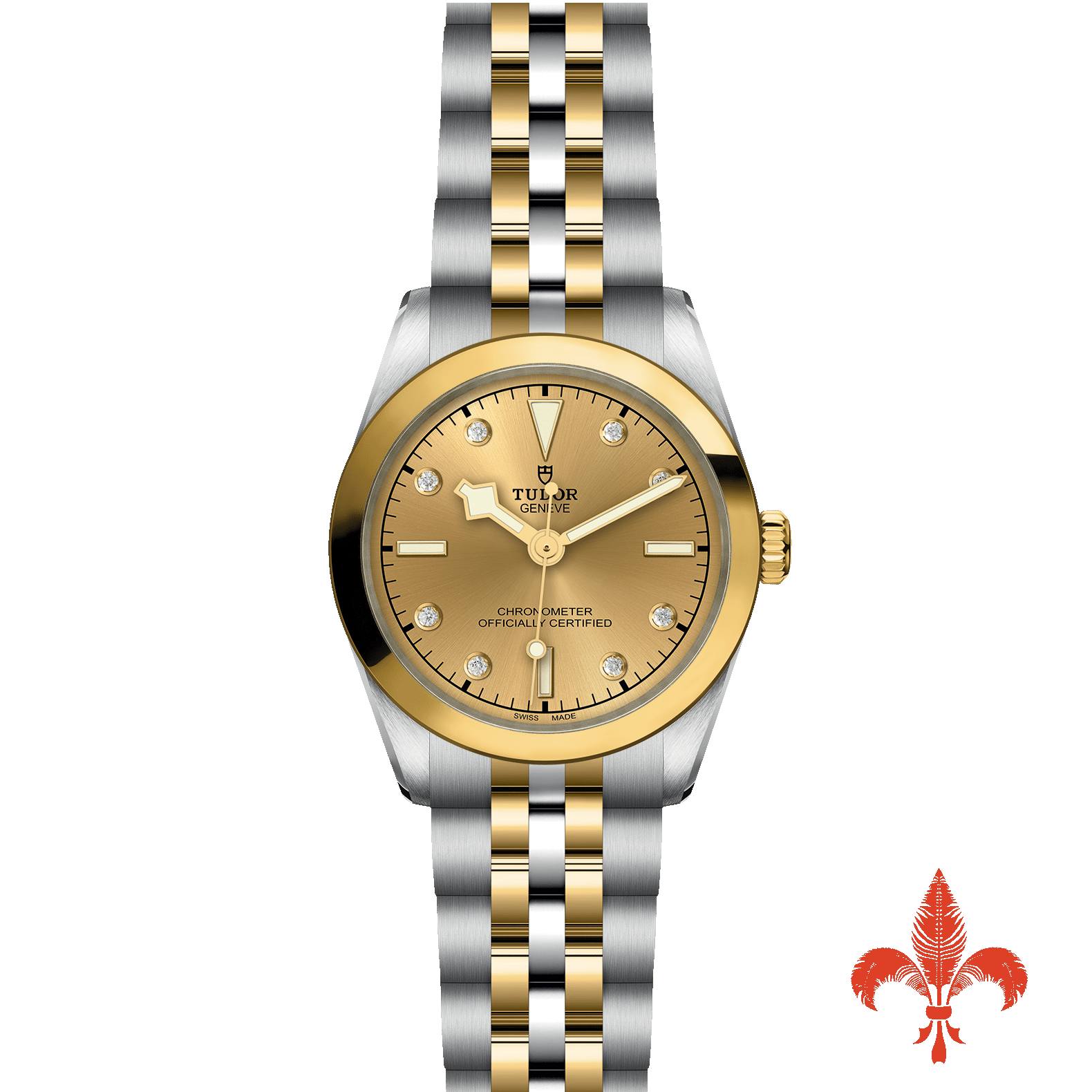 BLACK BAY ONE 31 S&G M79603-0008