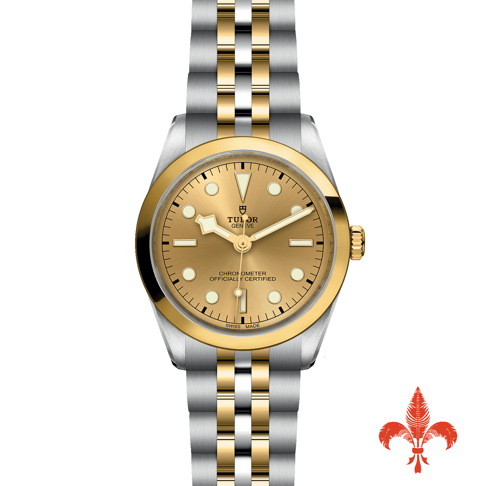 BLACK BAY ONE 36 S&G M79643-0005