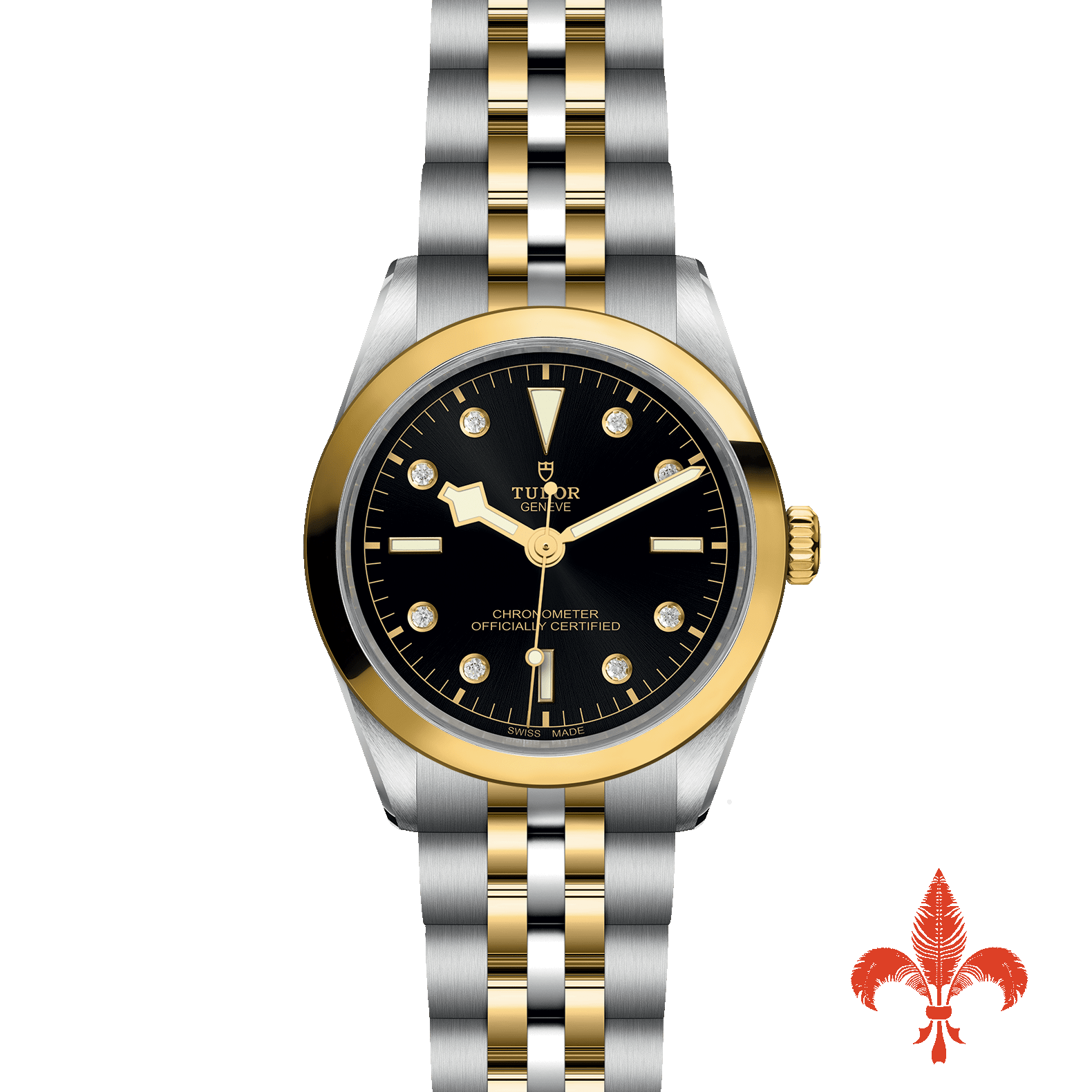 BLACK BAY ONE 36 S&G M79643-0006