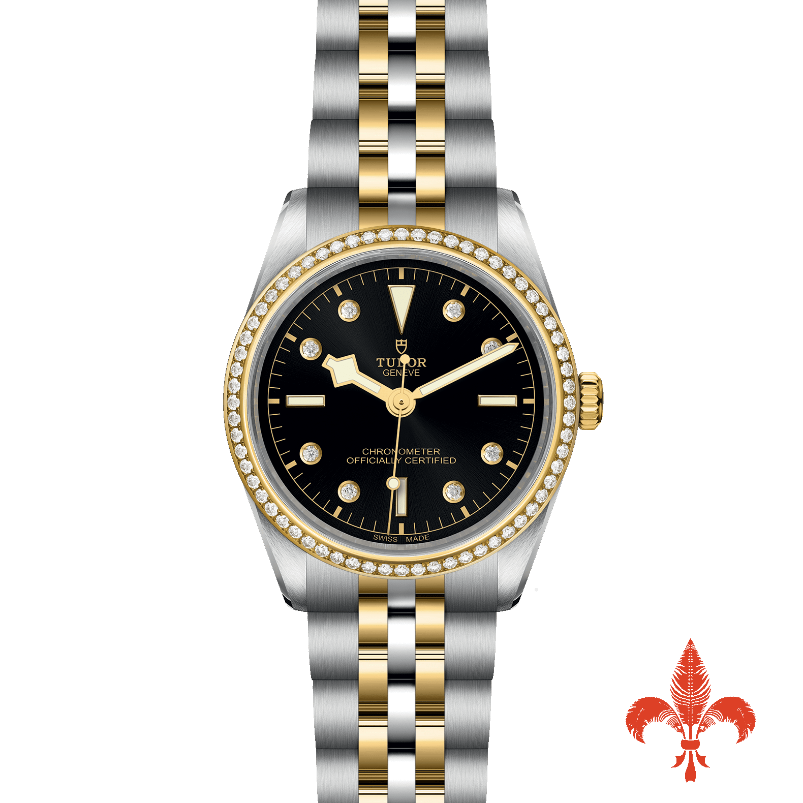 BLACK BAY ONE 36 S&G M79653-0005