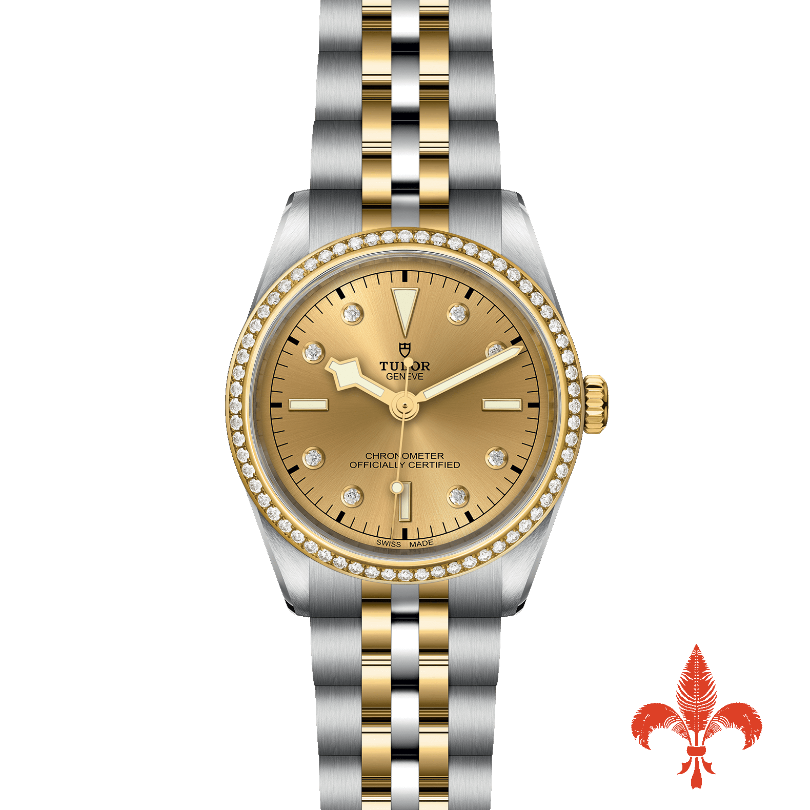 BLACK BAY ONE 36 S&G M79653‐0007