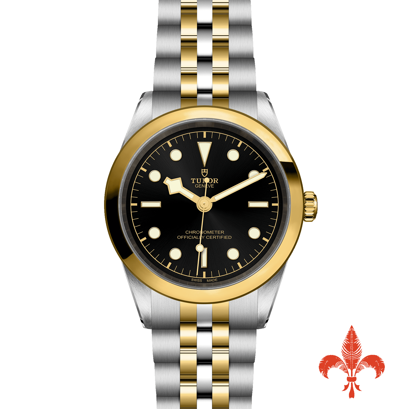 BLACK BAY 41 S&G M79683‐0001