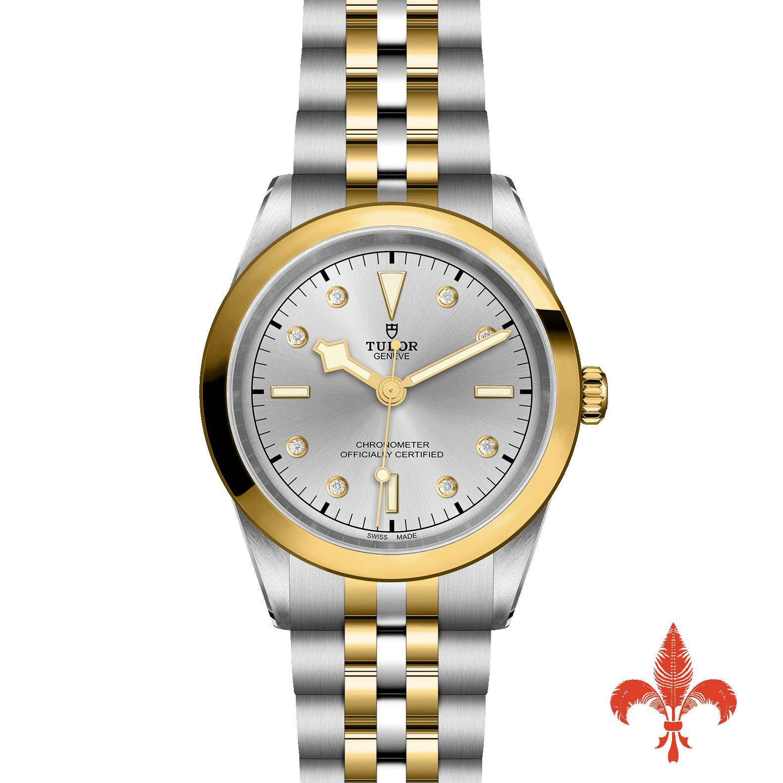 BLACK BAY 41 S&G M79683‐0007