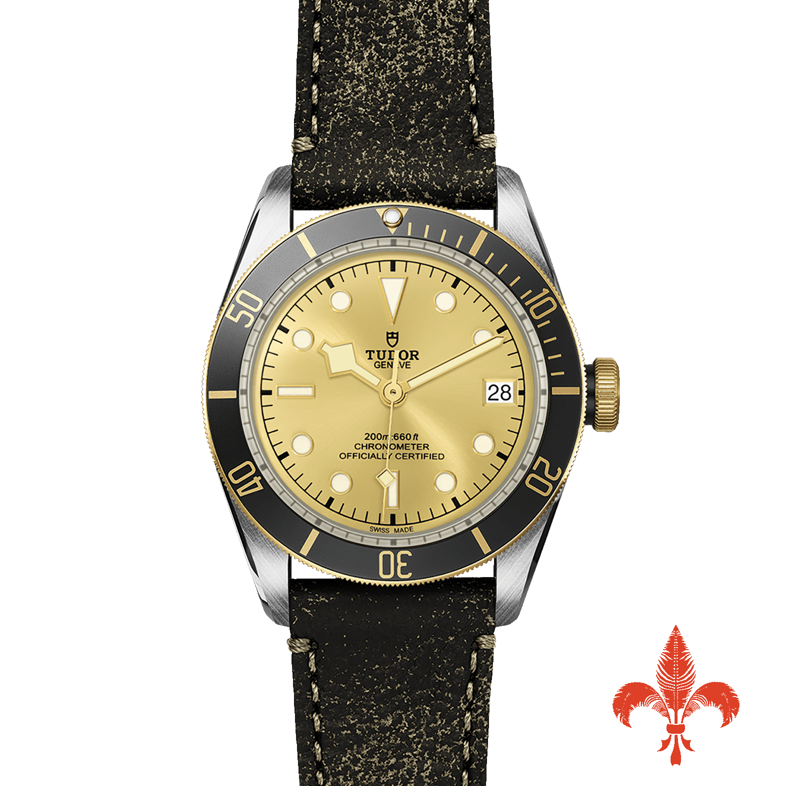 BLACK BAY S&G M79733N-0003