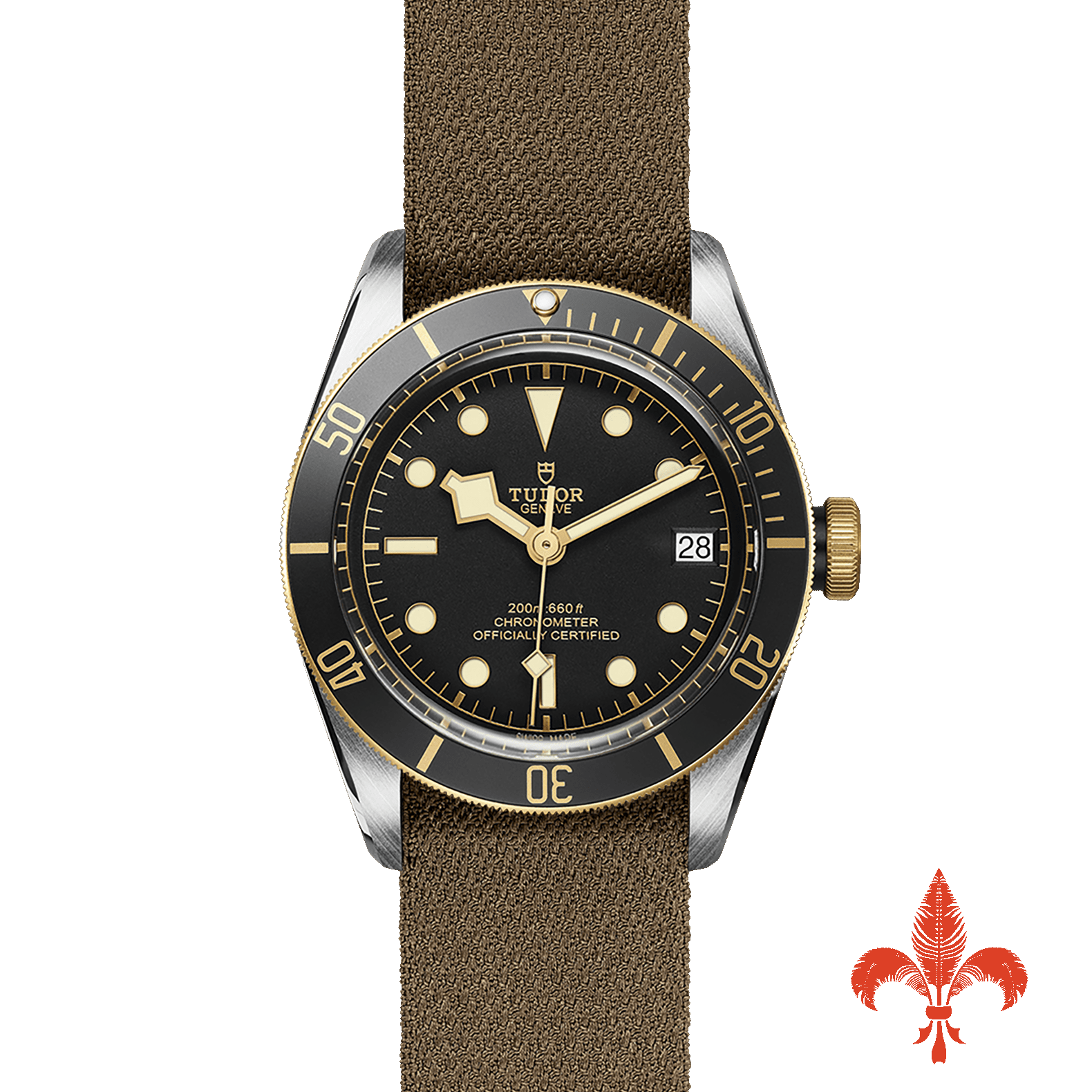 BLACK BAY S&G M79733N-0005