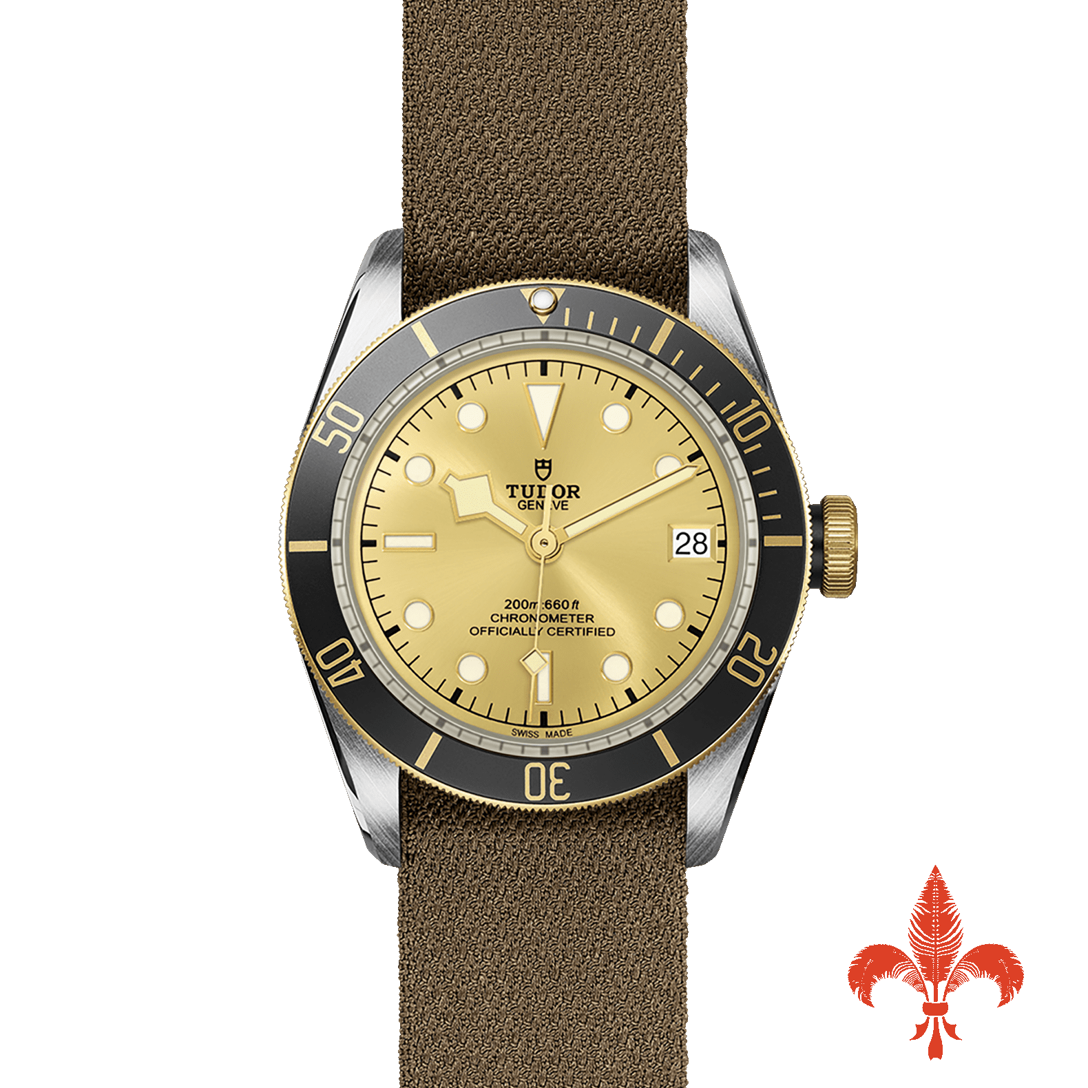 BLACK BAY S&G M79733N-0006