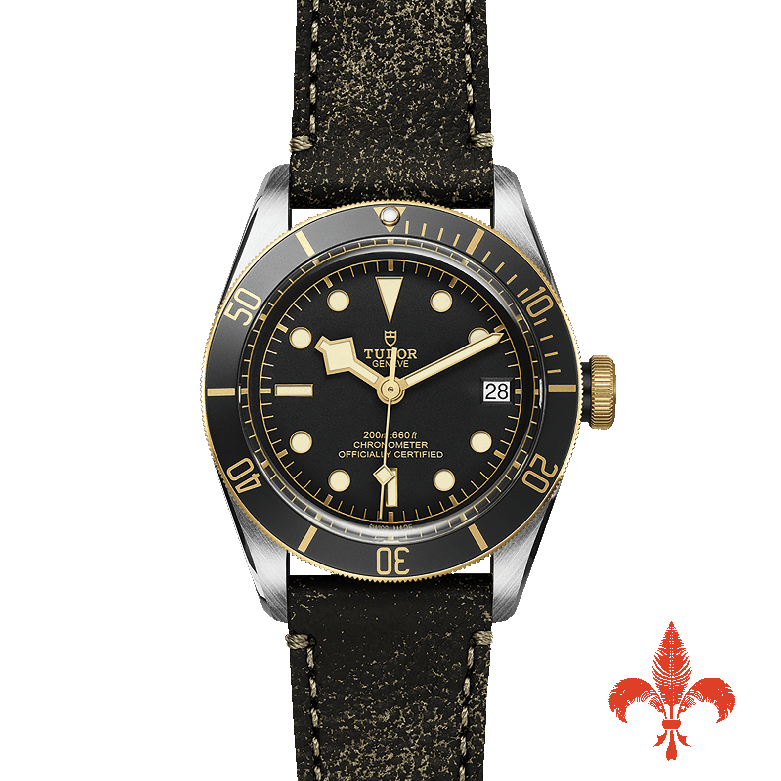 BLACK BAY S&G M79733N-0007