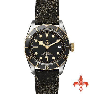 BLACK BAY S&G M79733N-0007