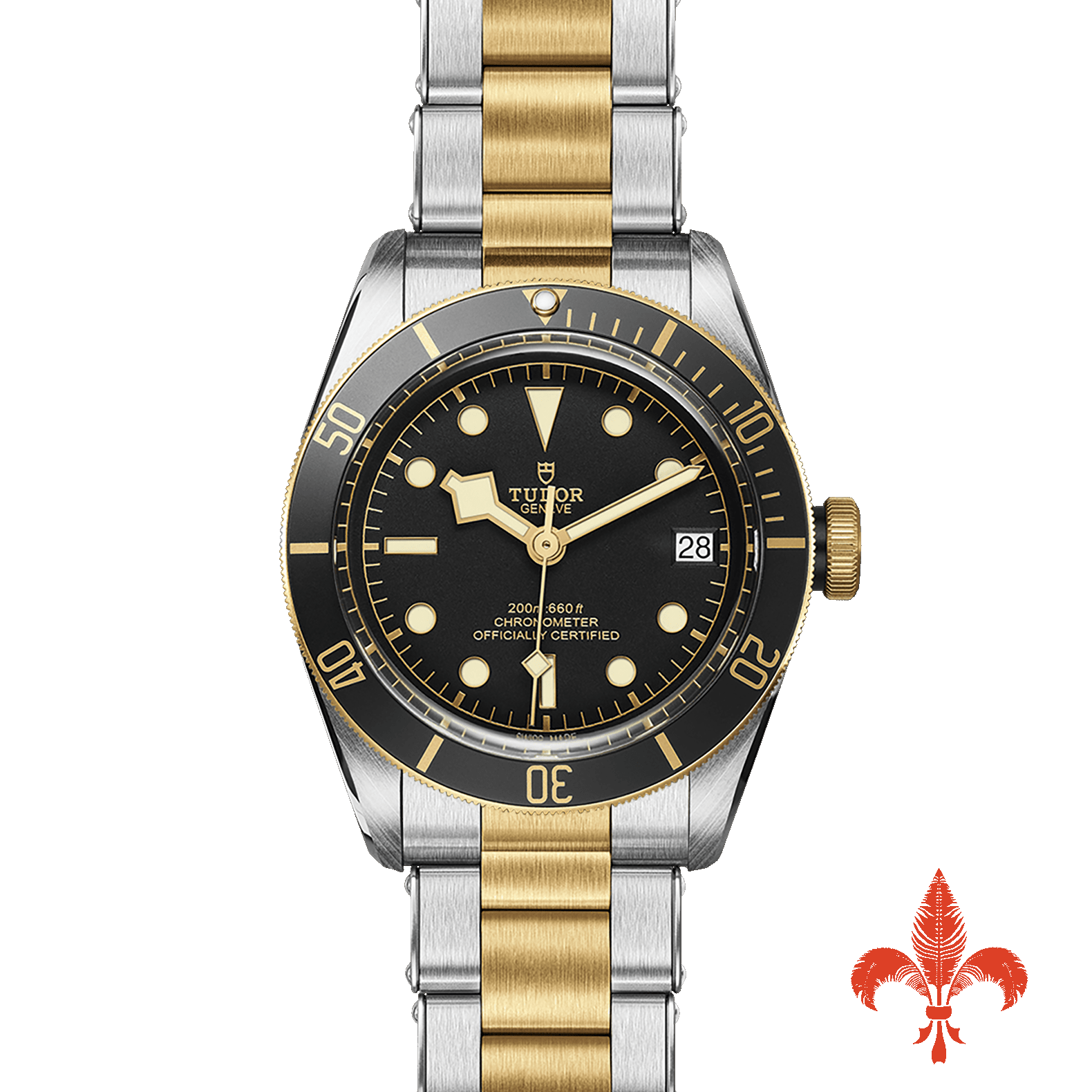 BLACK BAY S&G M79733N-0008