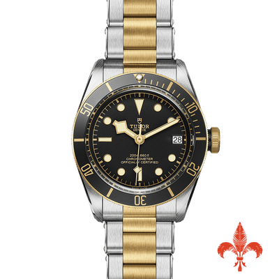 BLACK BAY S&G M79733N-0008