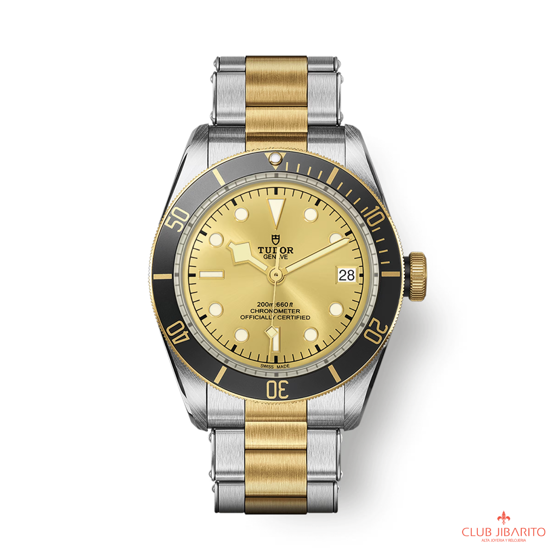 BLACK BAY S&G M79733N-0004