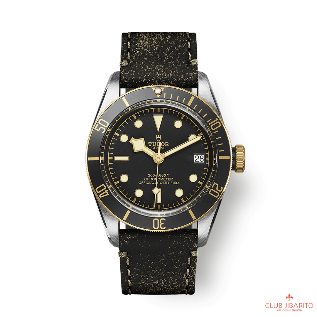 BLACK BAY S&G M79733N-0007