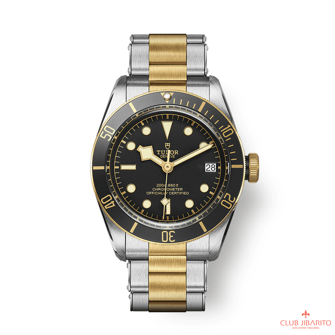 BLACK BAY S&G M79733N-0008