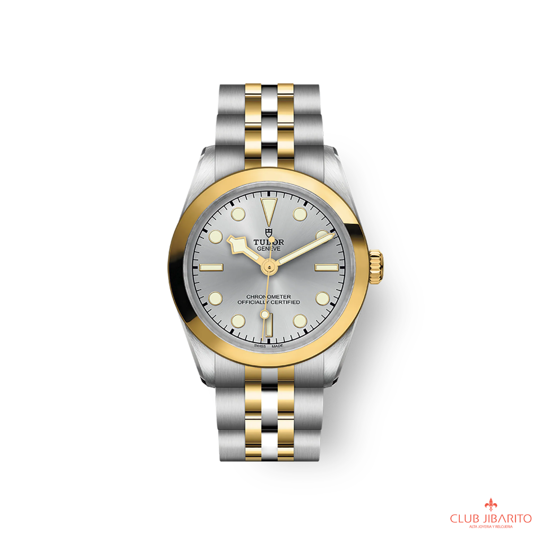 BLACK BAY 31 S&G M79603-0002