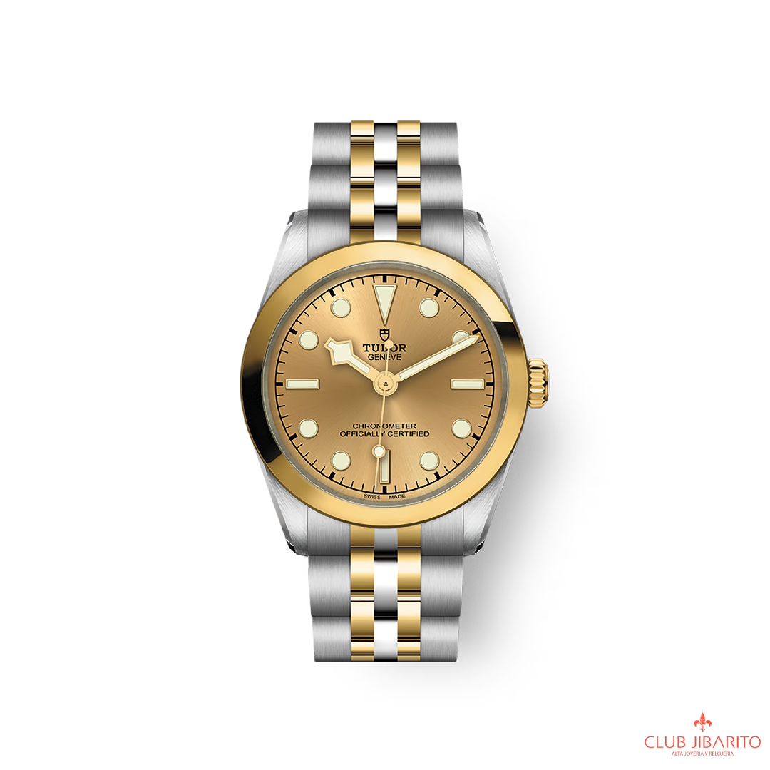 BLACK BAY 31 S&G M79603-0005