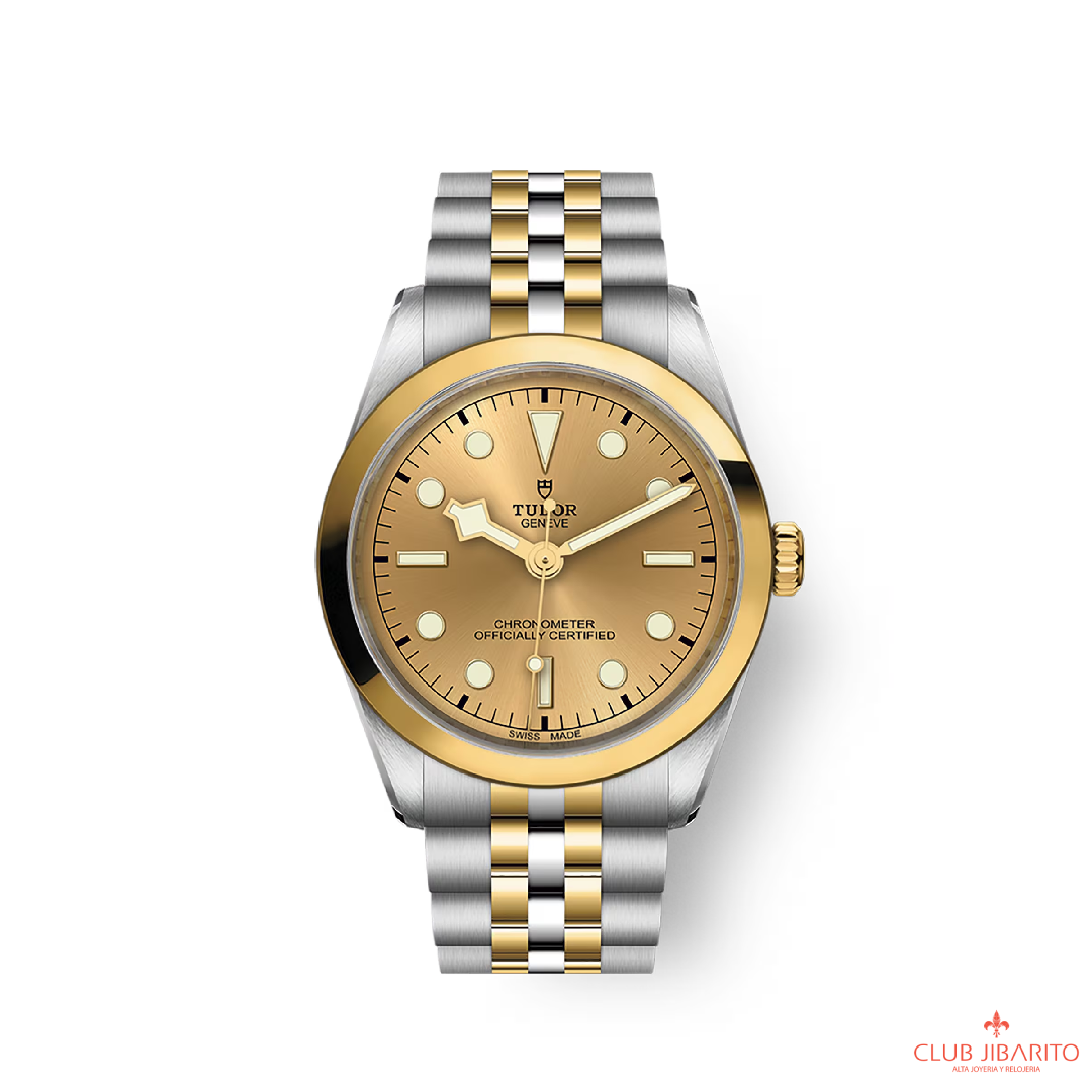 BLACK BAY 36 S&G M79643-0005