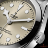 TUDOR Black Bay 36 M79640-0003