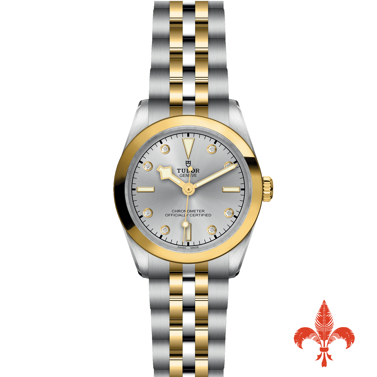 BLACK BAY ONE 31 S&G M79603-0007