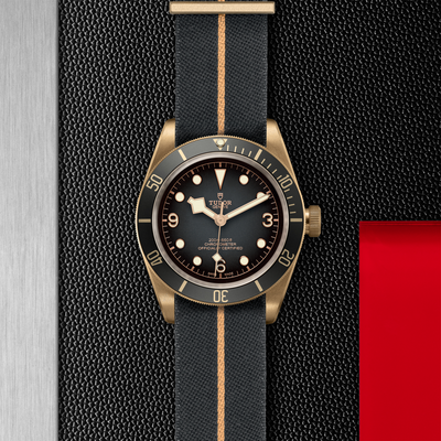 BLACK BAY BRONZE M79250BA-0002