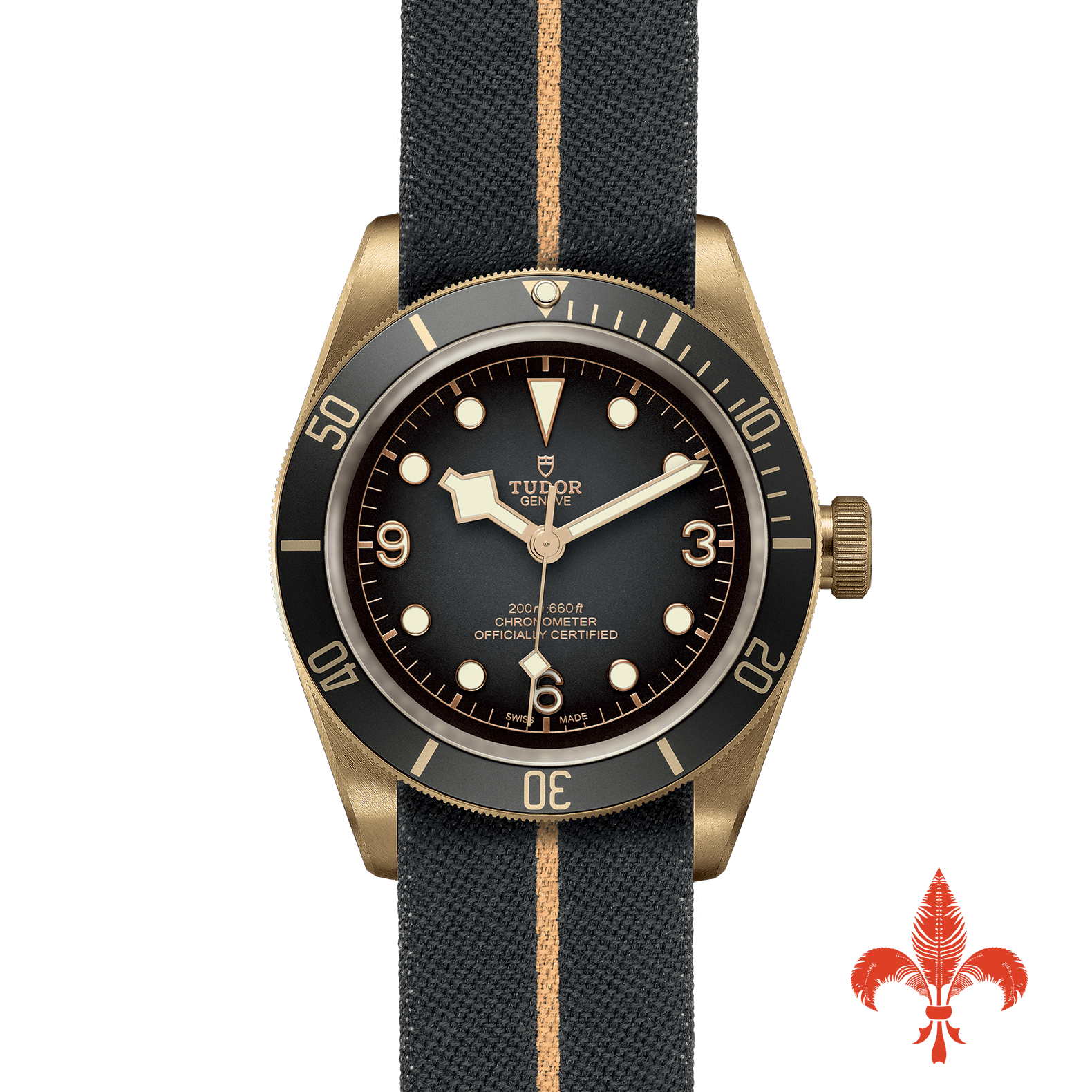BLACK BAY BRONZE M79250BA-0002