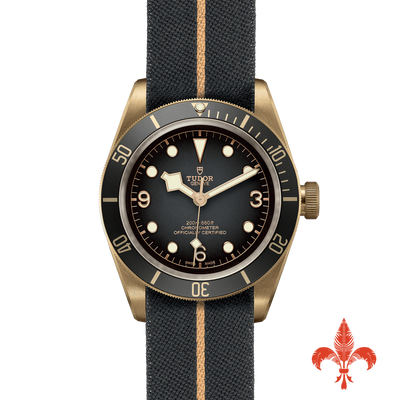 BLACK BAY BRONZE M79250BA-0002